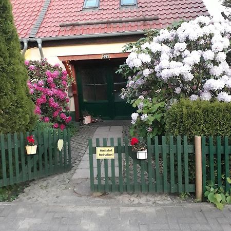 Harzglueck Villa Thale Buitenkant foto