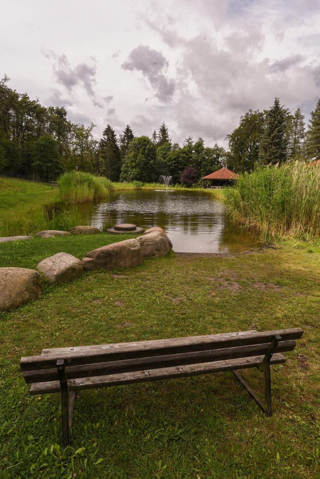 Harzglueck Villa Thale Buitenkant foto