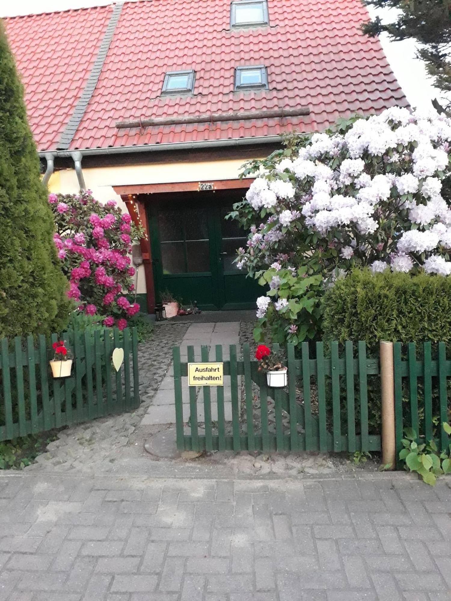 Harzglueck Villa Thale Buitenkant foto